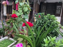 -三林塘老街