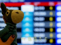 -河内内排国际机场