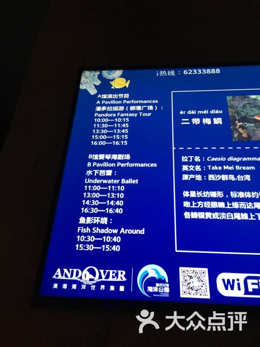重庆汉海海洋公园图片 - 第231张