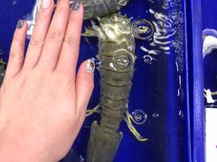 -芭提雅海鲜市场