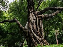 -厦门园林博览苑