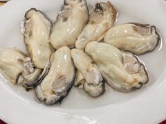 -花苑美食横琴生蚝火锅(拱北粤华路店)