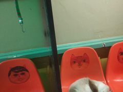 -猫咪博物馆(顶澳仔猫街店)