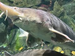 -锦艺城海洋馆