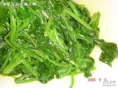 紫角叶-西新饭店(城中店)