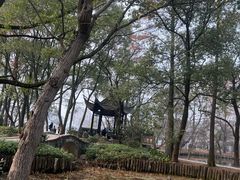 -东湖落雁景区