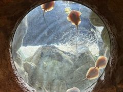 -珠海长隆海洋王国