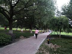 -中央公园(苏州工业园区)