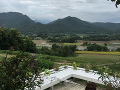 -黄色小屋