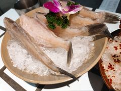耗儿鱼-贰回巷火锅馆(钟楼店)