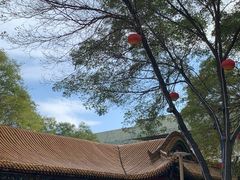 -鼓楼(兴庆区)