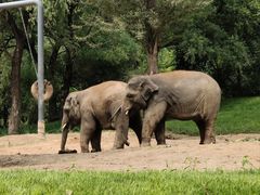-北京野生动物园