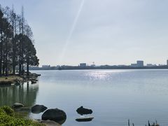 -苏州金鸡湖大酒店