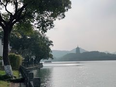 -杭州西湖柳莺里酒店
