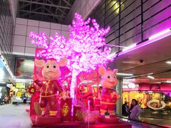 -皇庭广场(福华三路店)