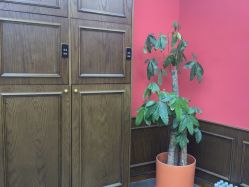 -贝勒爷专业男发