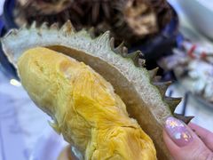 -半岛听涛蒸汽海鲜自助(K11店)