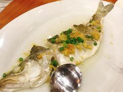 盐水海鲈（软边半条）-煲煲掂风味煲仔饭餐厅(西区店)