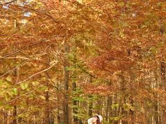 -桤木河湿地公园