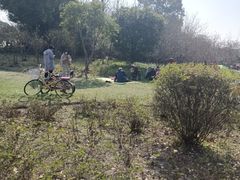 -昆山城市生态森林公园