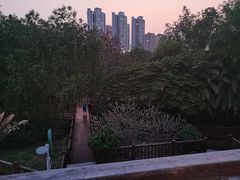 -金鸡岭桥头公园