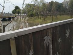 景点-南翔镇银翔湖公园