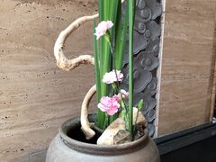 -九华山聚龙大酒店
