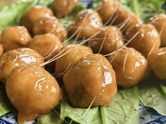 -生态苑农庄(十里画廊遇龙河店)
