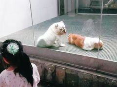 -南昌动物园