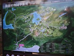 -深圳仙湖植物园