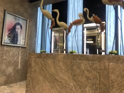 -AKOZO Beauty Salon
