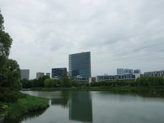 -大兴滨河森林公园