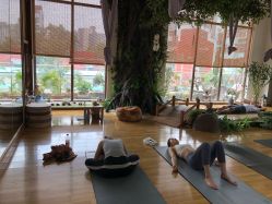 -花间禅净·瑜伽