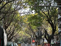 -赵伍面庄(松石大道店)
