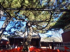 -红螺寺
