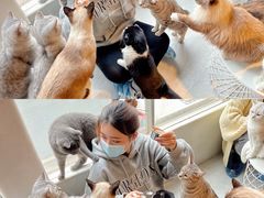 -猫儿山۰猫主题餐厅