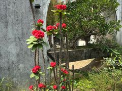 -广州市紫泥堂文化创意园景区