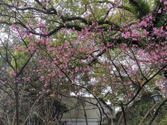 -乌山风景区