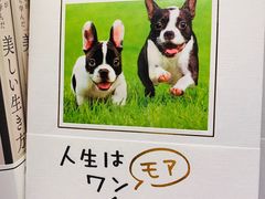 -大垣书店(烏丸三条店)