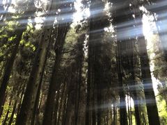 -山王坪喀斯特国家生态公园