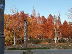 -苏州上方山国家森林公园