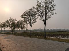 -天津东丽湖风景区