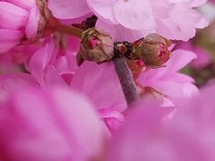 -长春公园(普阳街道)