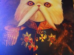 -猫小院猫主题咖啡厅(北锣店)