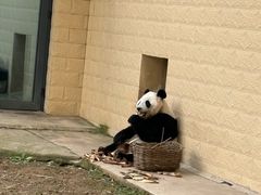 -石家庄市动物园