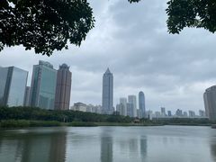 -万绿园