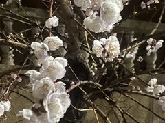 -南翠屏公园