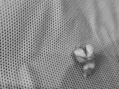 -维乐口腔·埃齐门诊(静安店)