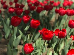 -长春公园(普阳街道)