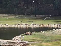 -北京麋鹿生态实验中心